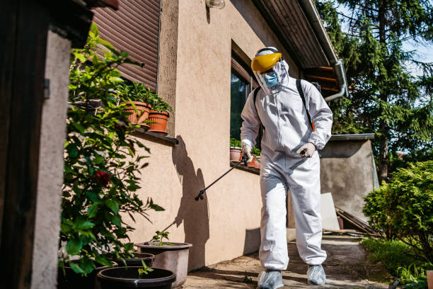 Best Commercial Pest Control Services  in West Miami, FL
