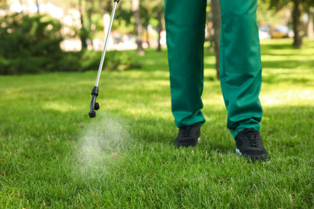 Best Insect Control  in West Miami, FL