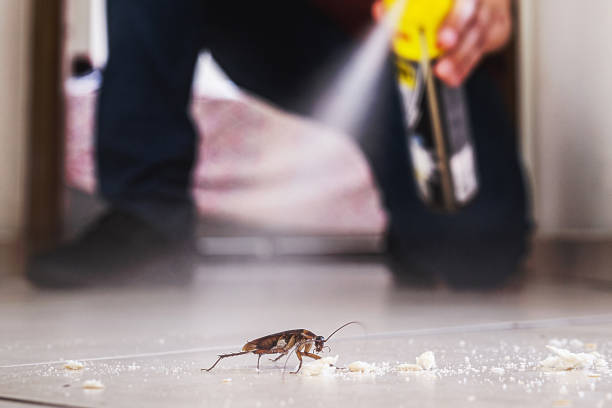 Best Best Pest Control Companies  in West Miami, FL