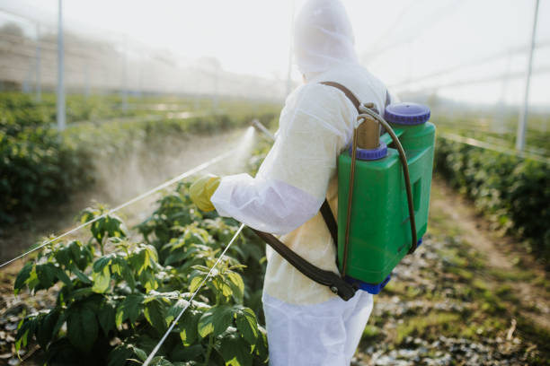 Best Exterminator Services  in West Miami, FL